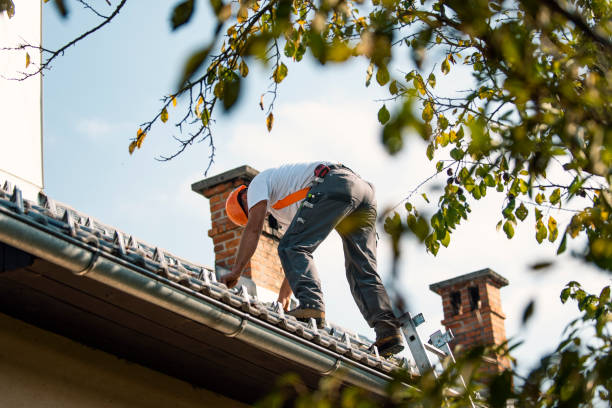 Best Roof Gutter Cleaning  in Priest River, ID